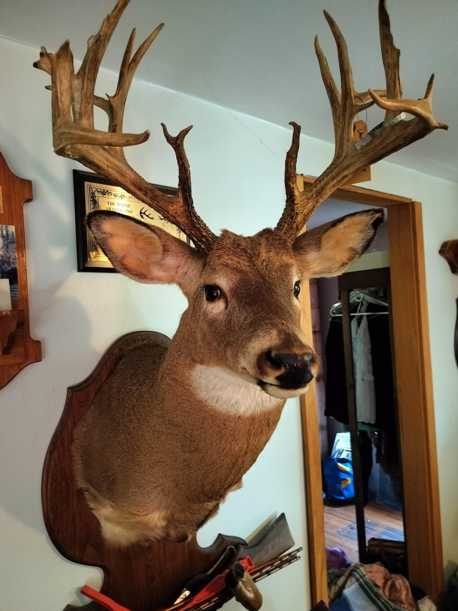 M4-l14 Village Road Jackson, ME 04921 - Photo 1 of 37 4842437902471430365