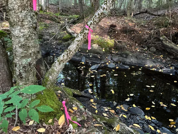 $110,500 | M4-l14 Village Road, Jackson, ME 04921