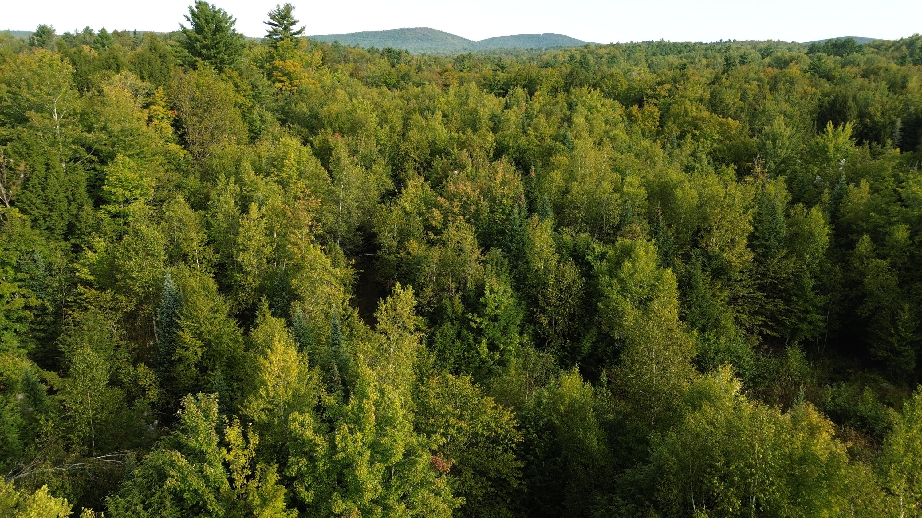 M4-l14 Village Road Jackson, ME 04921 - Photo 13 of 37 4