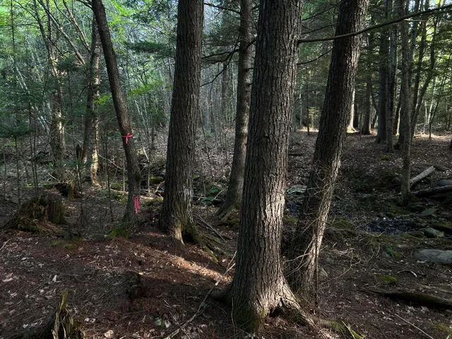 $110,500 | M4-l14 Village Road, Jackson, ME 04921