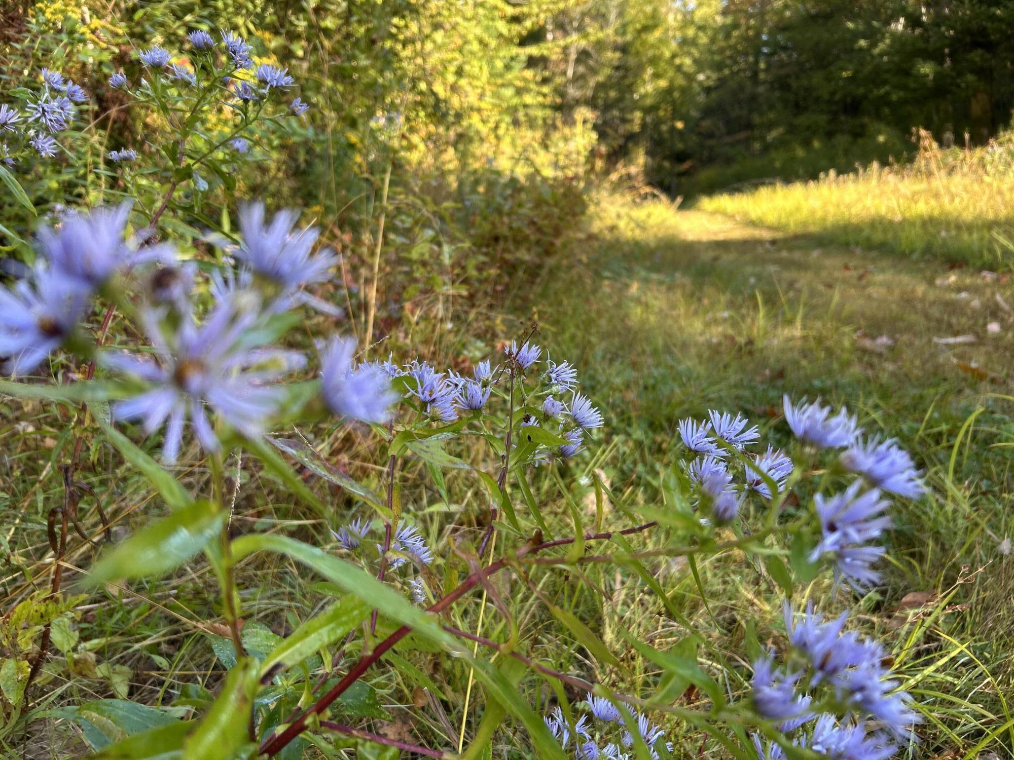 M4-l14 Village Road Jackson, ME 04921 - Photo 18 of 37 63