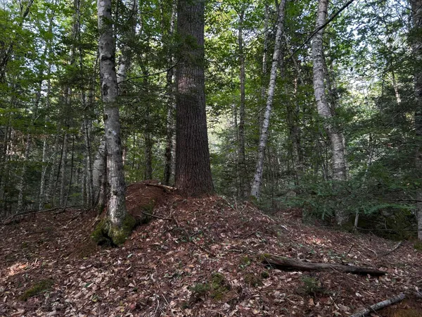 $110,500 | M4-l14 Village Road, Jackson, ME 04921