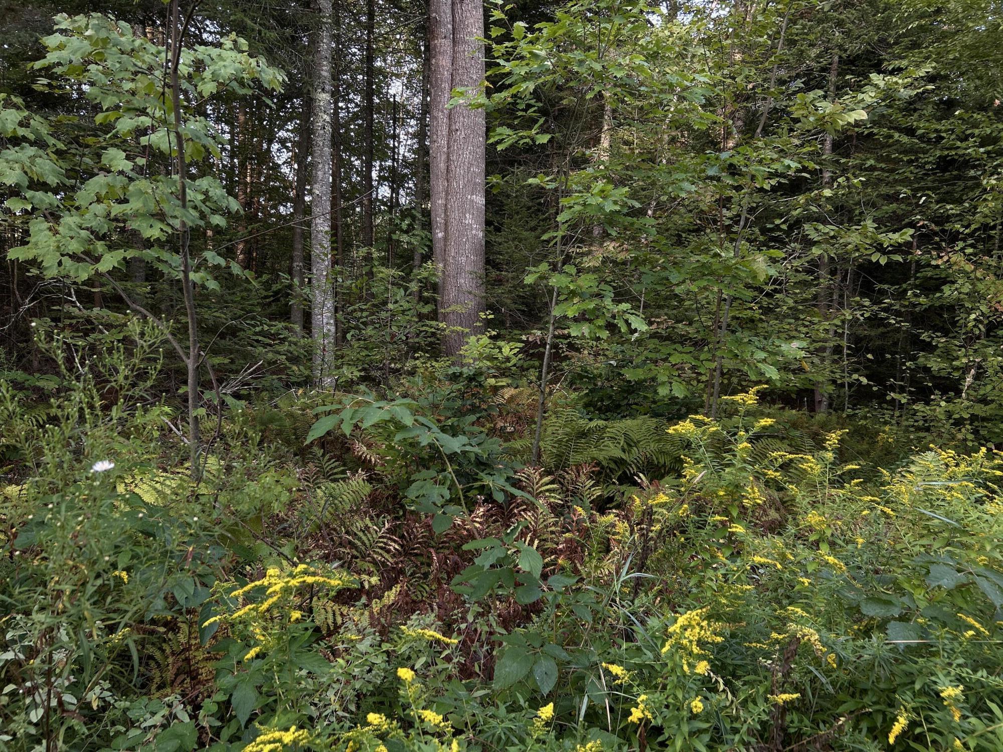 M4-l14 Village Road Jackson, ME 04921 - Photo 2 of 37 5