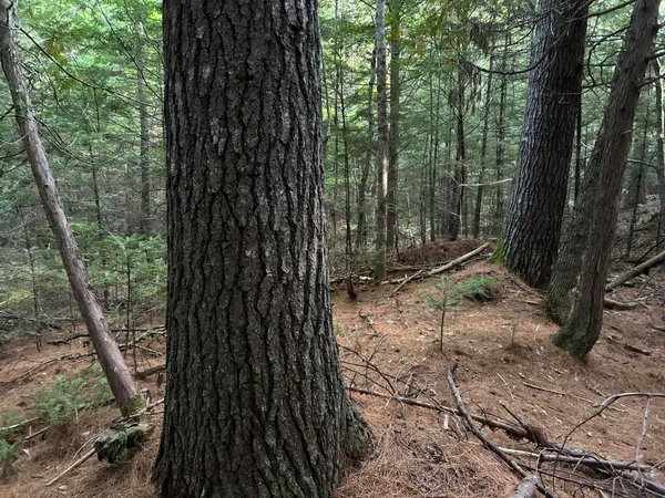 $110,500 | M4-l14 Village Road, Jackson, ME 04921