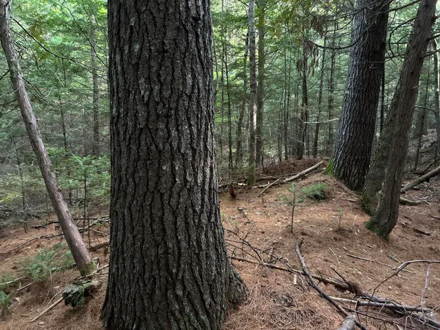 $110,500 | M4-l14 Village Road, Jackson, ME 04921