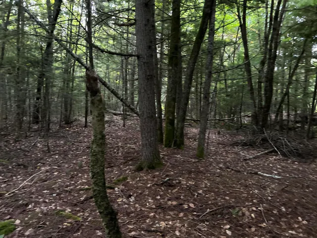 $110,500 | M4-l14 Village Road, Jackson, ME 04921