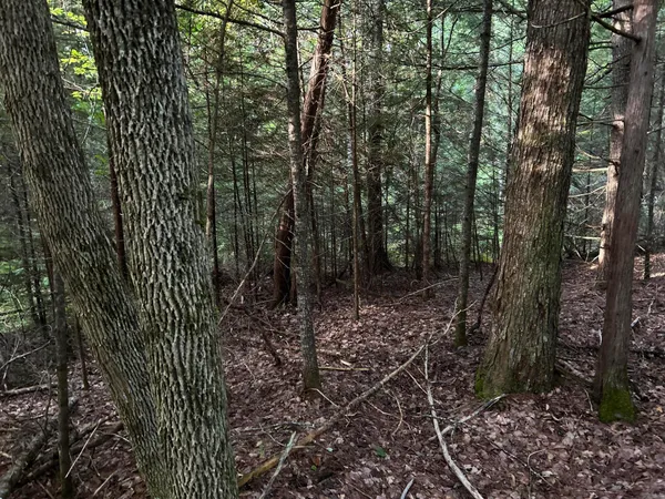 $110,500 | M4-l14 Village Road, Jackson, ME 04921