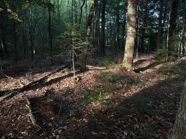 $110,500 | M4-l14 Village Road, Jackson, ME 04921
