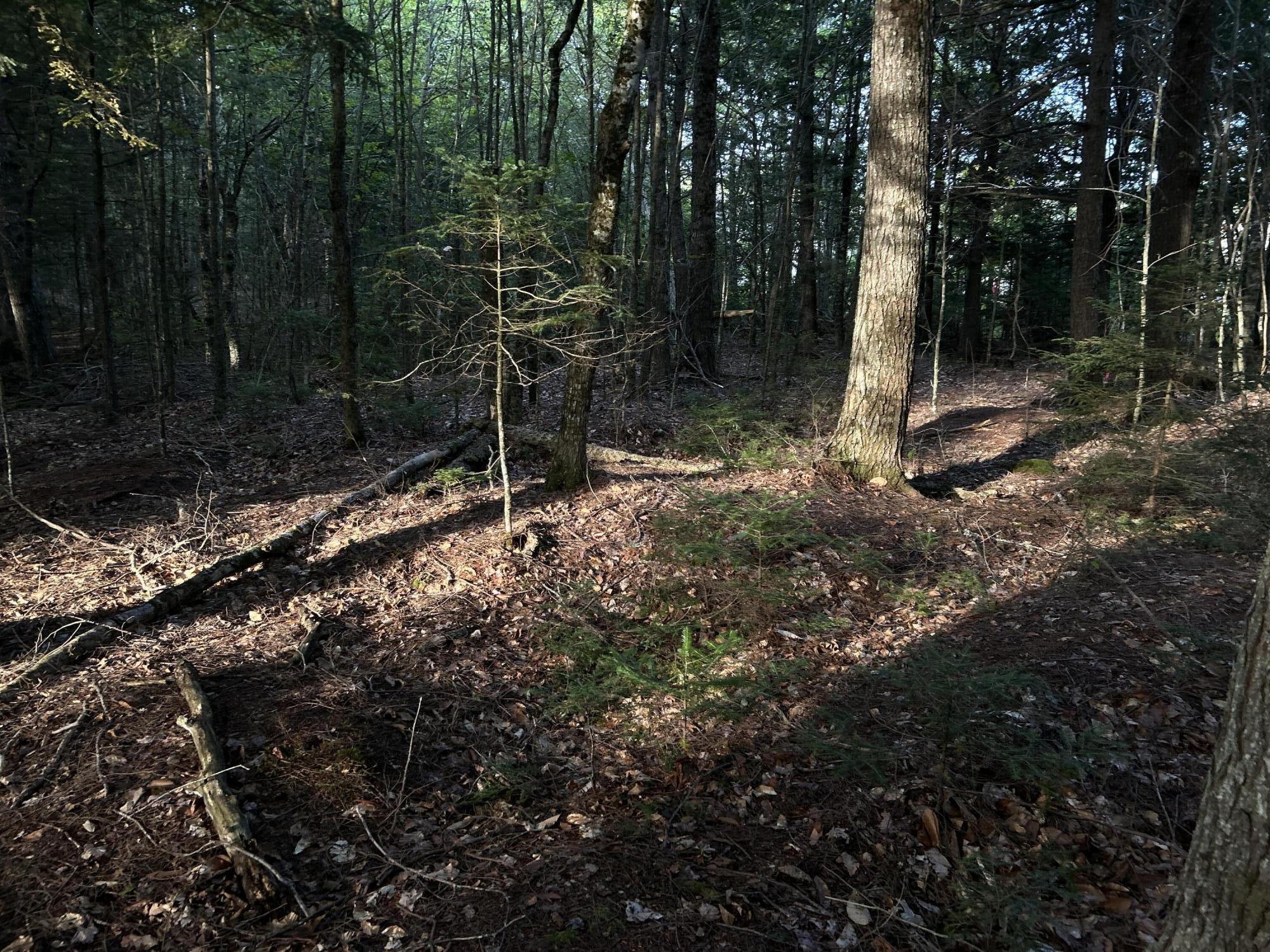 M4-l14 Village Road Jackson, ME 04921 - Photo 25 of 37 53