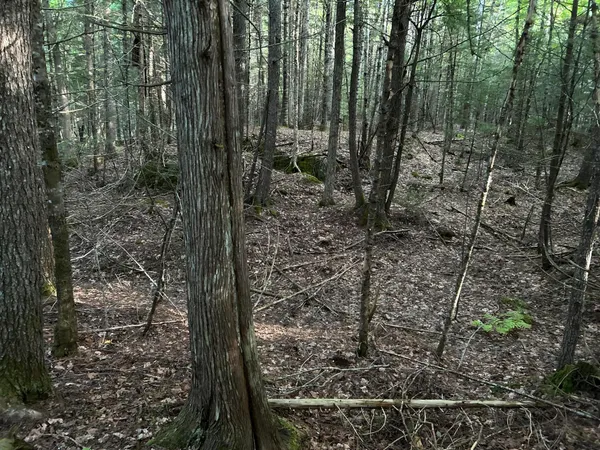 $110,500 | M4-l14 Village Road, Jackson, ME 04921