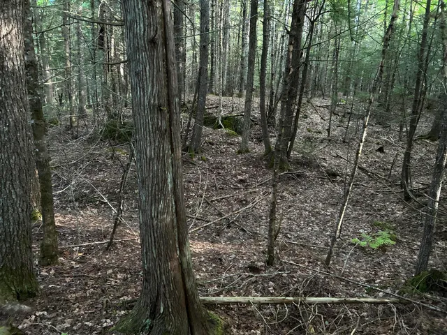 $110,500 | M4-l14 Village Road, Jackson, ME 04921