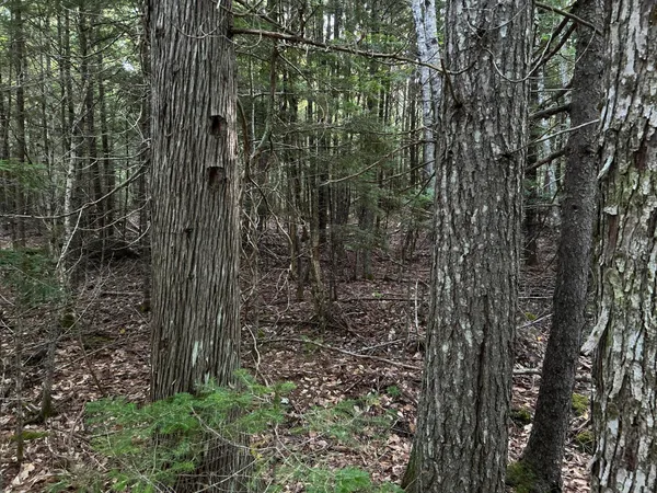 $110,500 | M4-l14 Village Road, Jackson, ME 04921