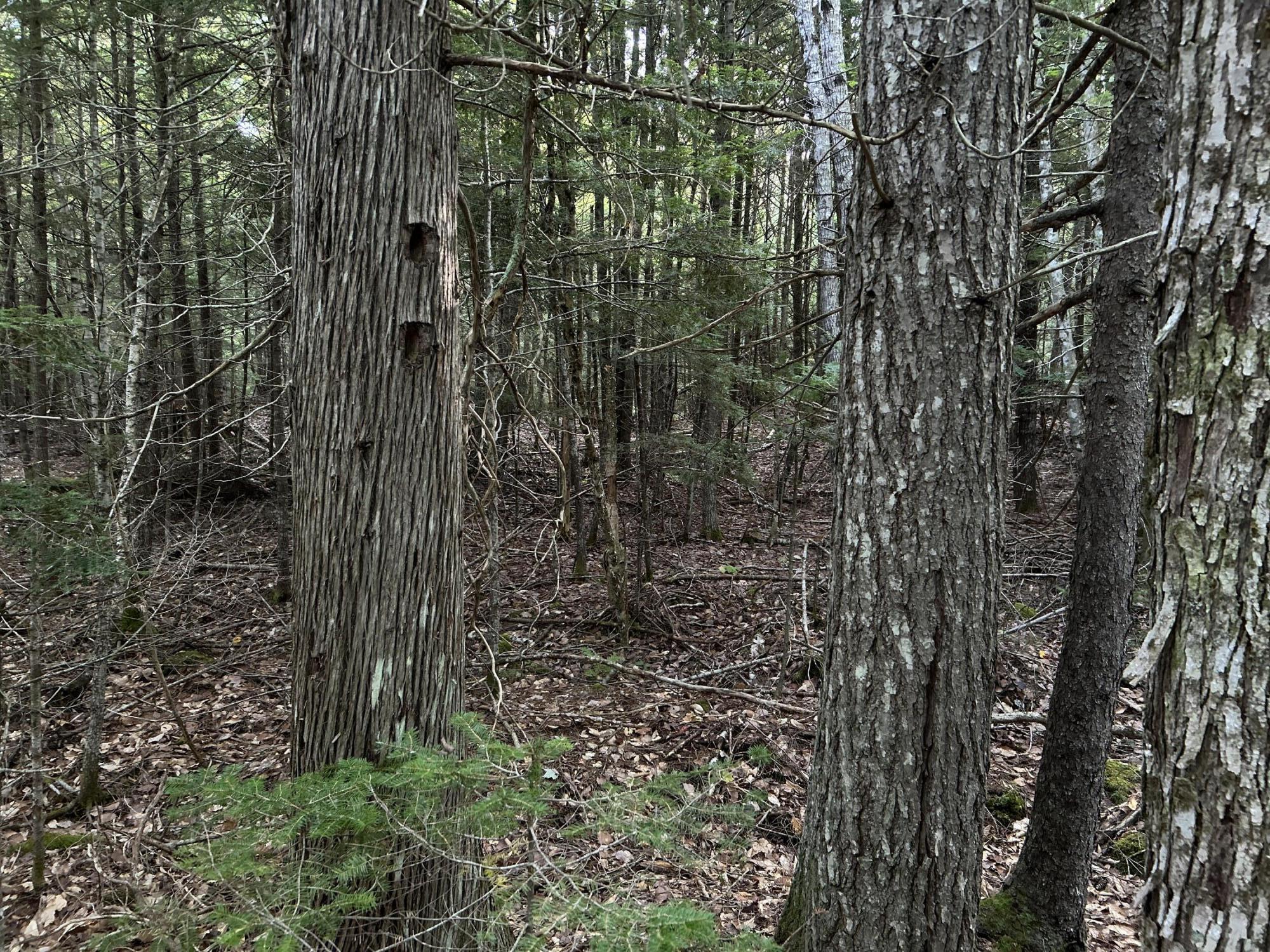 M4-l14 Village Road Jackson, ME 04921 - Photo 27 of 37 39