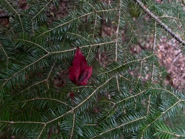 $110,500 | M4-l14 Village Road, Jackson, ME 04921