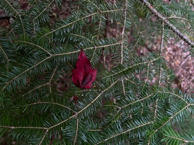 $110,500 | M4-l14 Village Road, Jackson, ME 04921