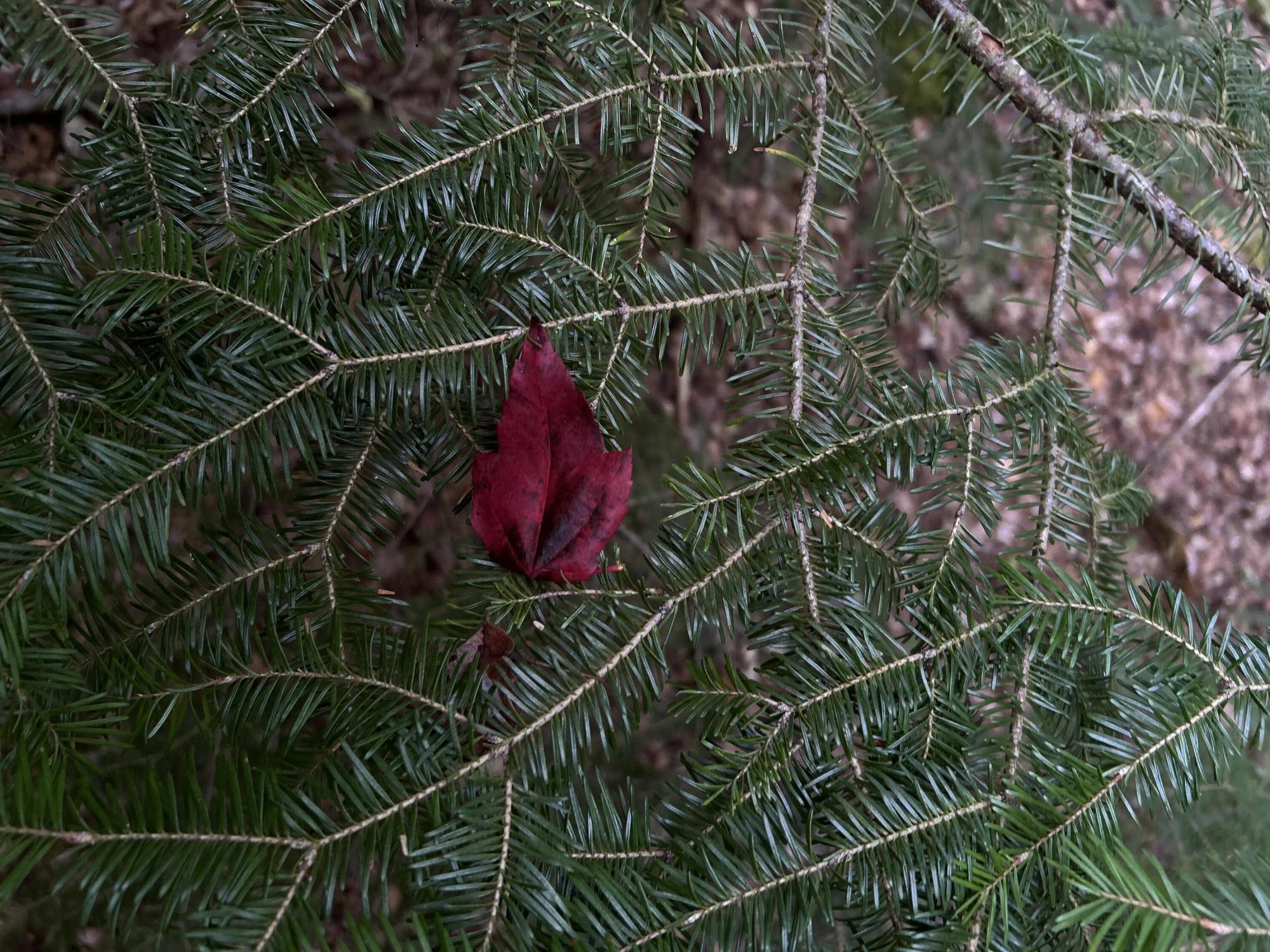 M4-l14 Village Road Jackson, ME 04921 - Photo 28 of 37 57