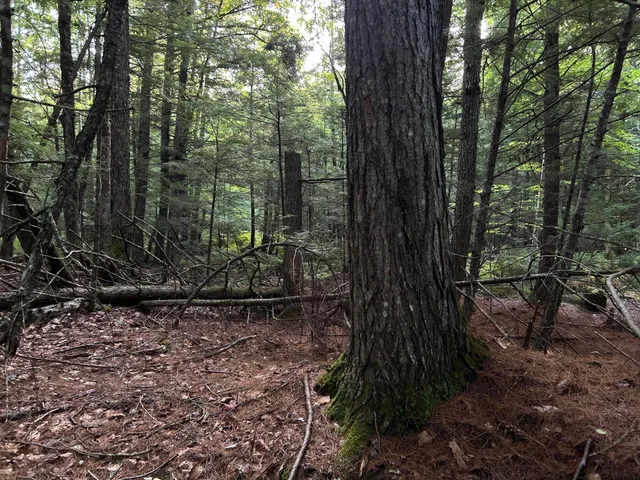 $110,500 | M4-l14 Village Road, Jackson, ME 04921