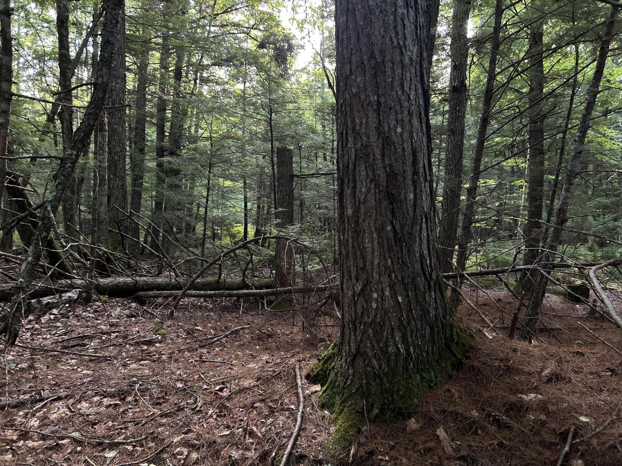 M4-l14 Village Road Jackson, ME 04921 - Photo 30 of 37 37