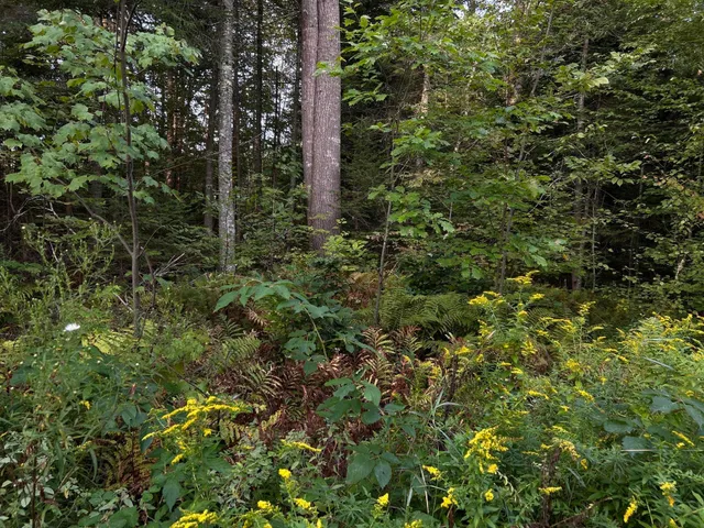 $110,500 | M4-l14 Village Road, Jackson, ME 04921