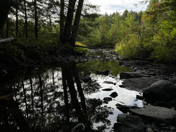 $110,500 | M4-l14 Village Road, Jackson, ME 04921