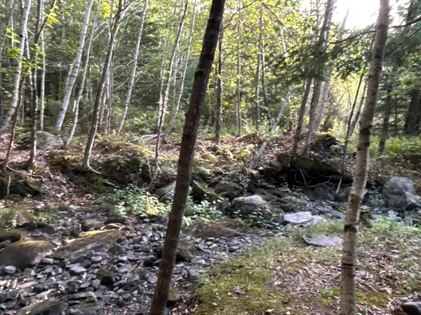 $110,500 | M4-l14 Village Road, Jackson, ME 04921