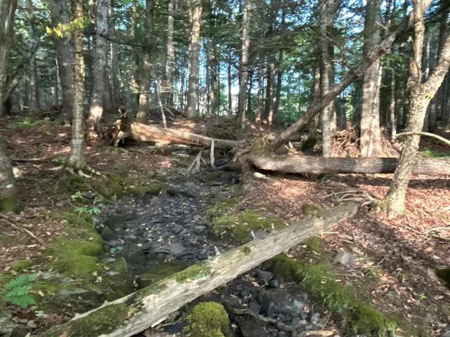 $110,500 | M4-l14 Village Road, Jackson, ME 04921