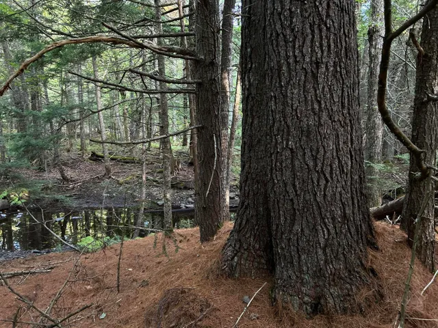 $110,500 | M4-l14 Village Road, Jackson, ME 04921