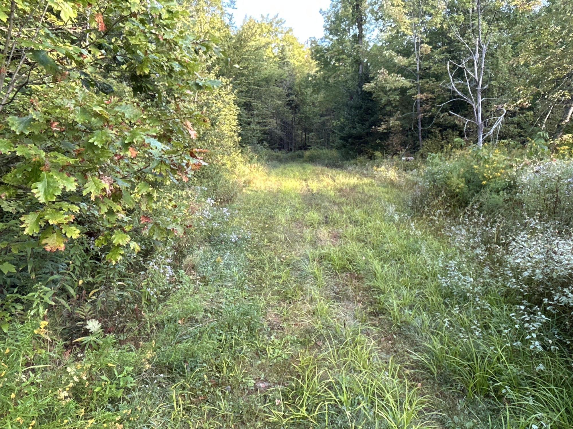 M4-l14 Village Road Jackson, ME 04921 - Photo 4 of 37 1