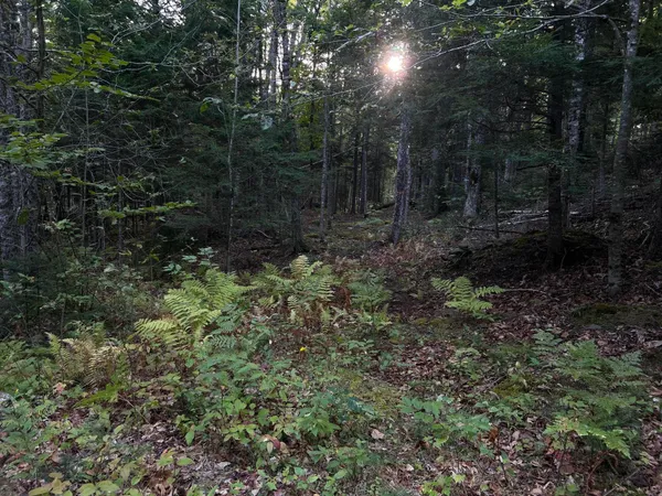 $110,500 | M4-l14 Village Road, Jackson, ME 04921