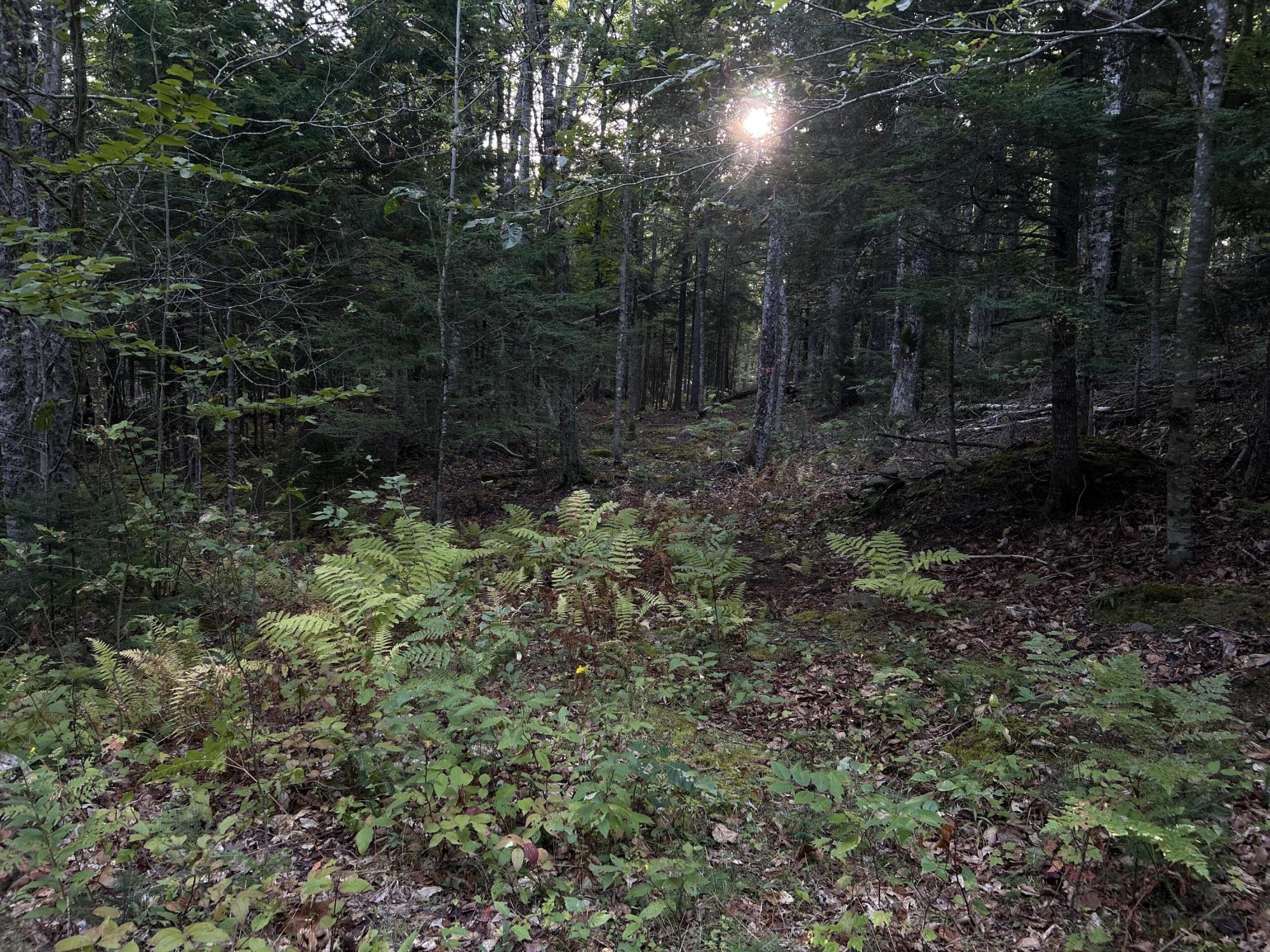 M4-l14 Village Road Jackson, ME 04921 - Photo 7 of 37 9