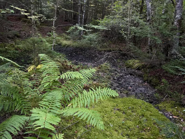 $110,500 | M4-l14 Village Road, Jackson, ME 04921