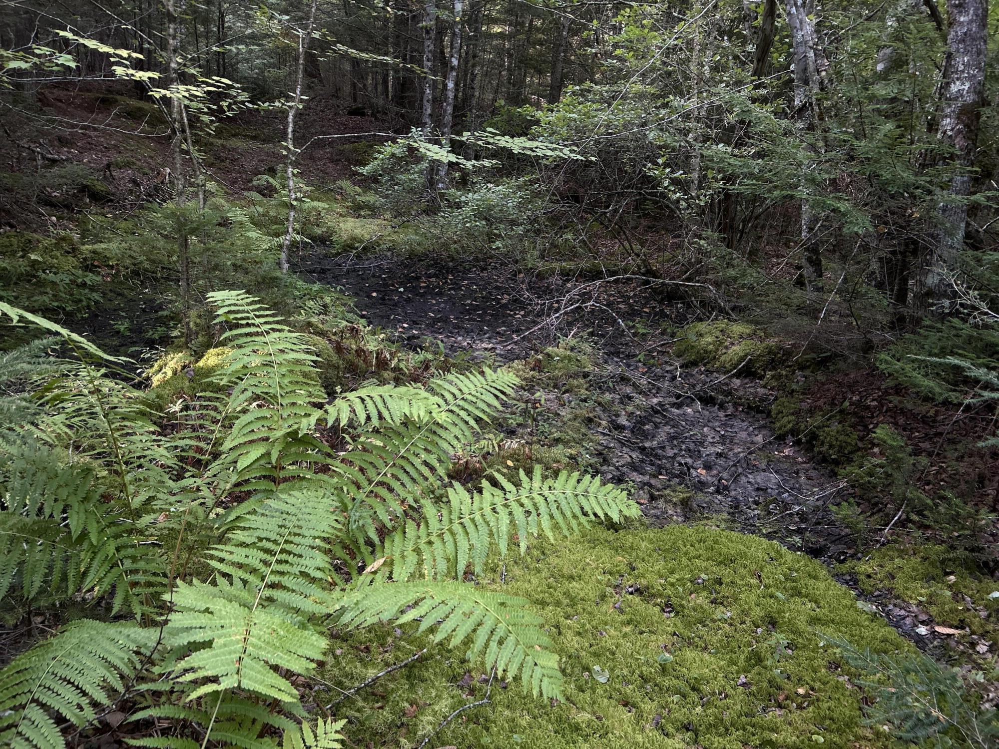 M4-l14 Village Road Jackson, ME 04921 - Photo 8 of 37 55