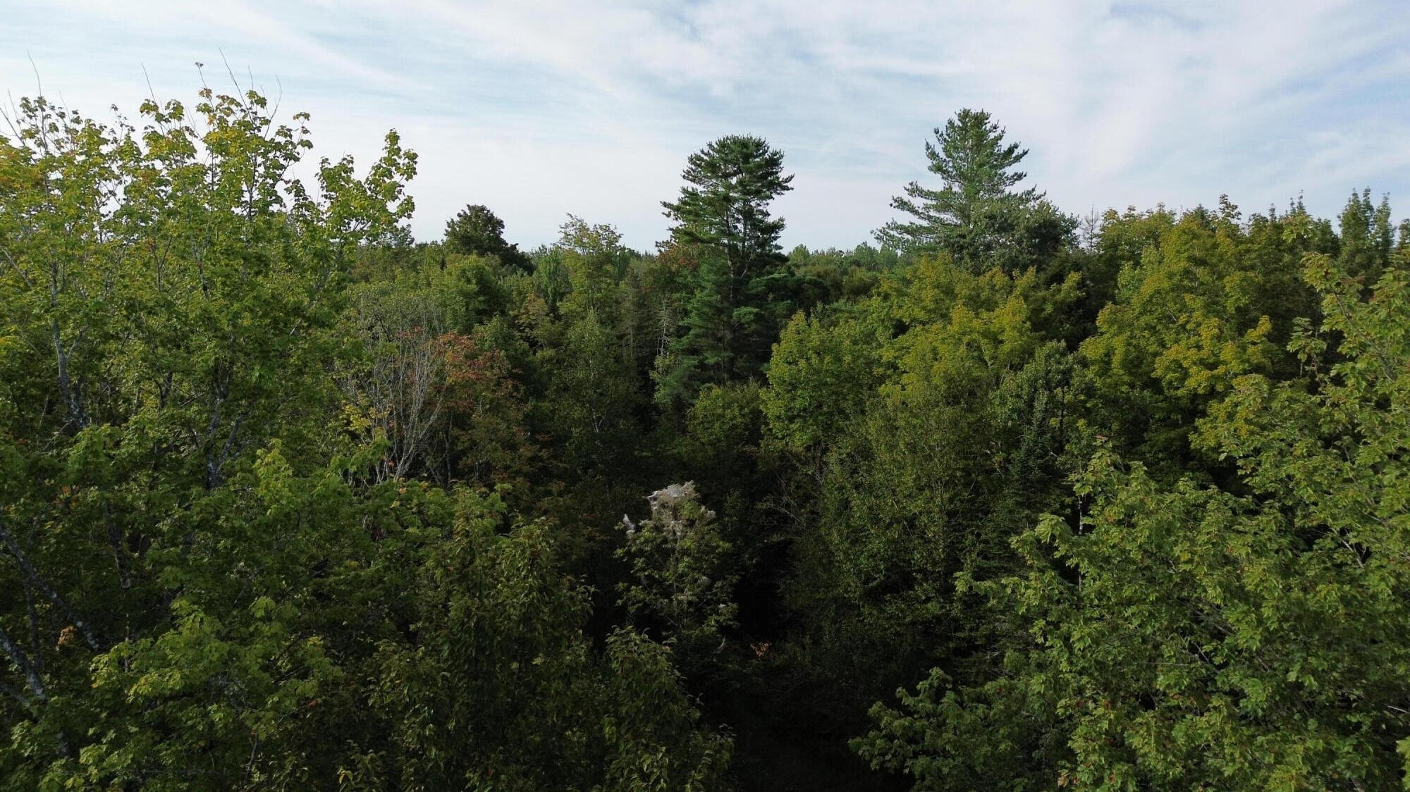 M4-l14 Village Road Jackson, ME 04921 - Photo 9 of 37 10