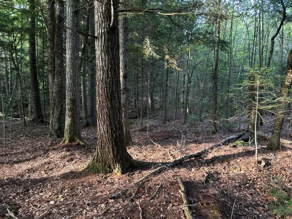 $110,500 | M4-l14 Village Road, Jackson, ME 04921