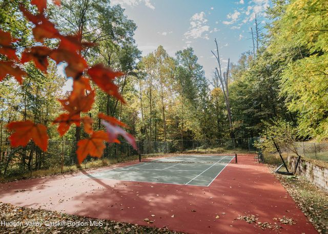 a view of a yard with plants and trees