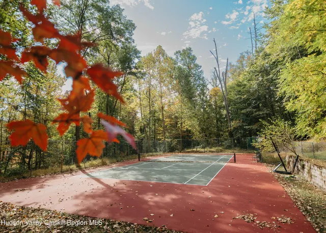 a view of a yard with plants and trees