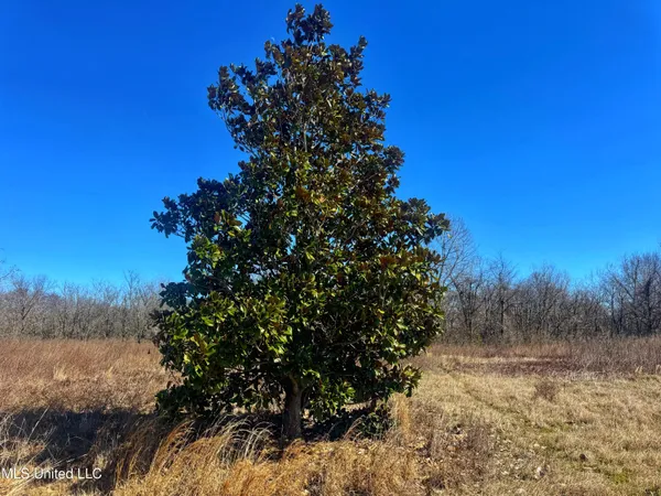 $72,000 | 0 New Africa Road, Clarksdale, MS 38614