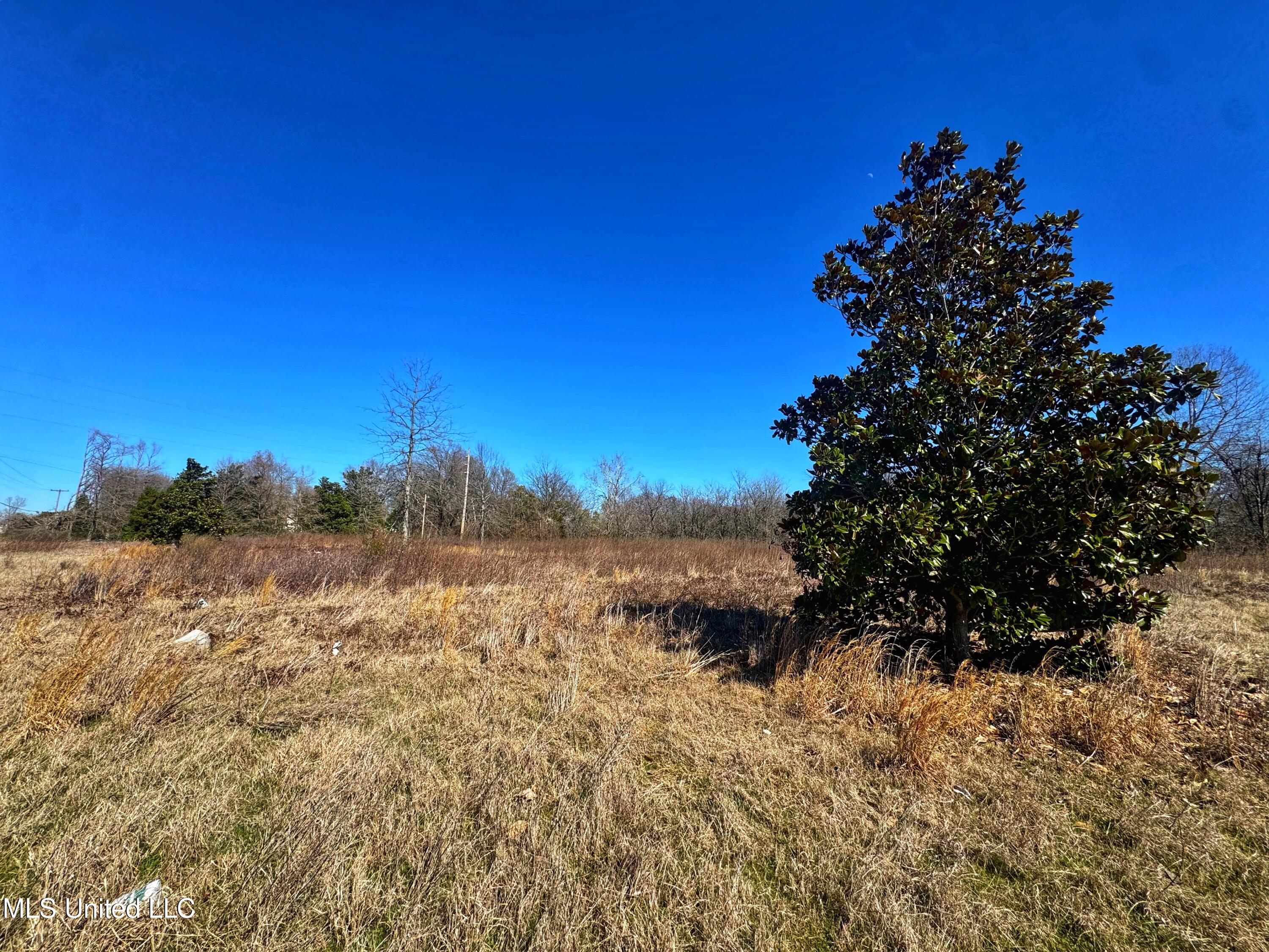0 New Africa Road Clarksdale, MS 38614 - Photo 7 of 7 IMG_3254