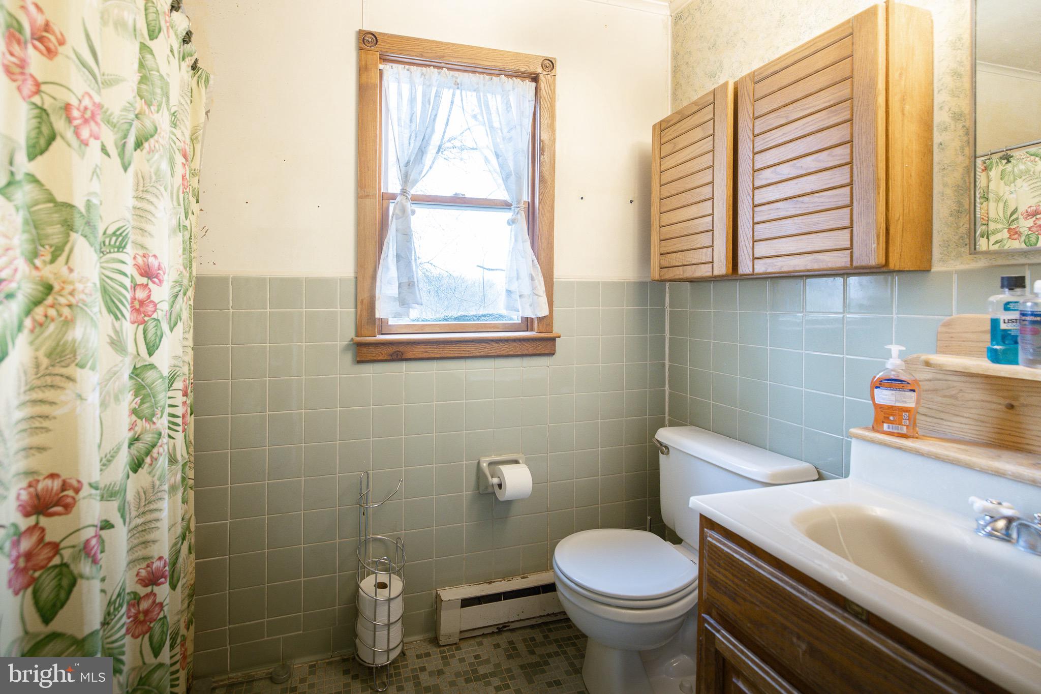 263 Pine Road Stephenson, VA 22656 - Photo 32 of 40 Lower Level Bath