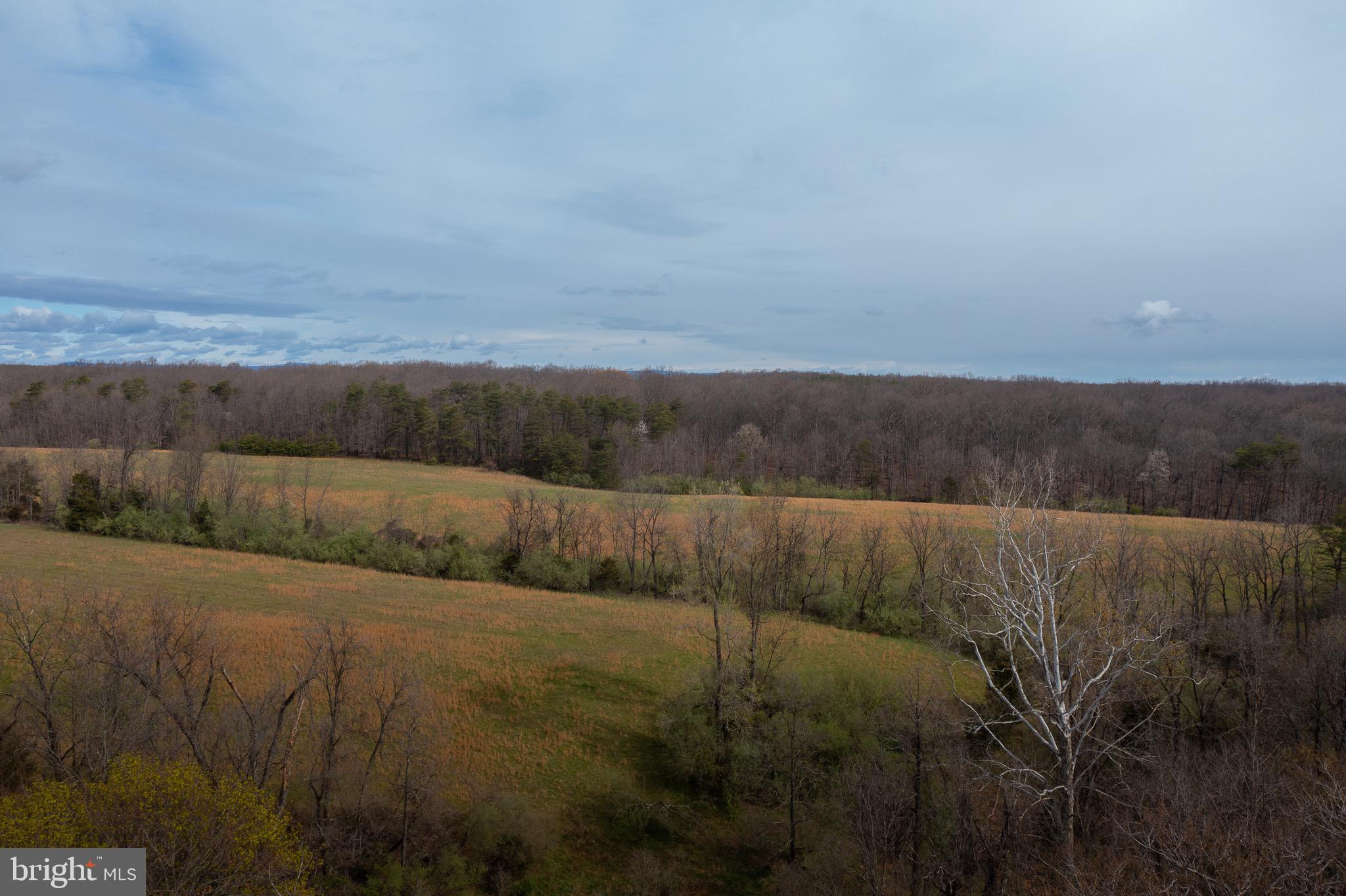263 Pine Road Stephenson, VA 22656 - Photo 7 of 40 Gallery Image 7