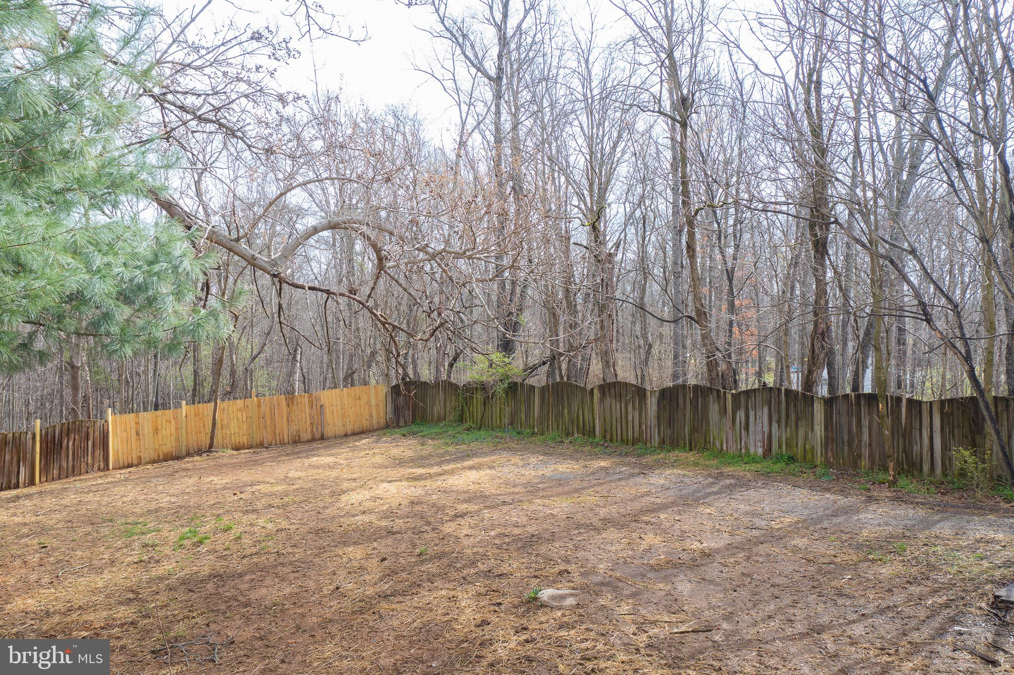263 Pine Road Stephenson, VA 22656 - Photo 10 of 40 Large fenced-in yard