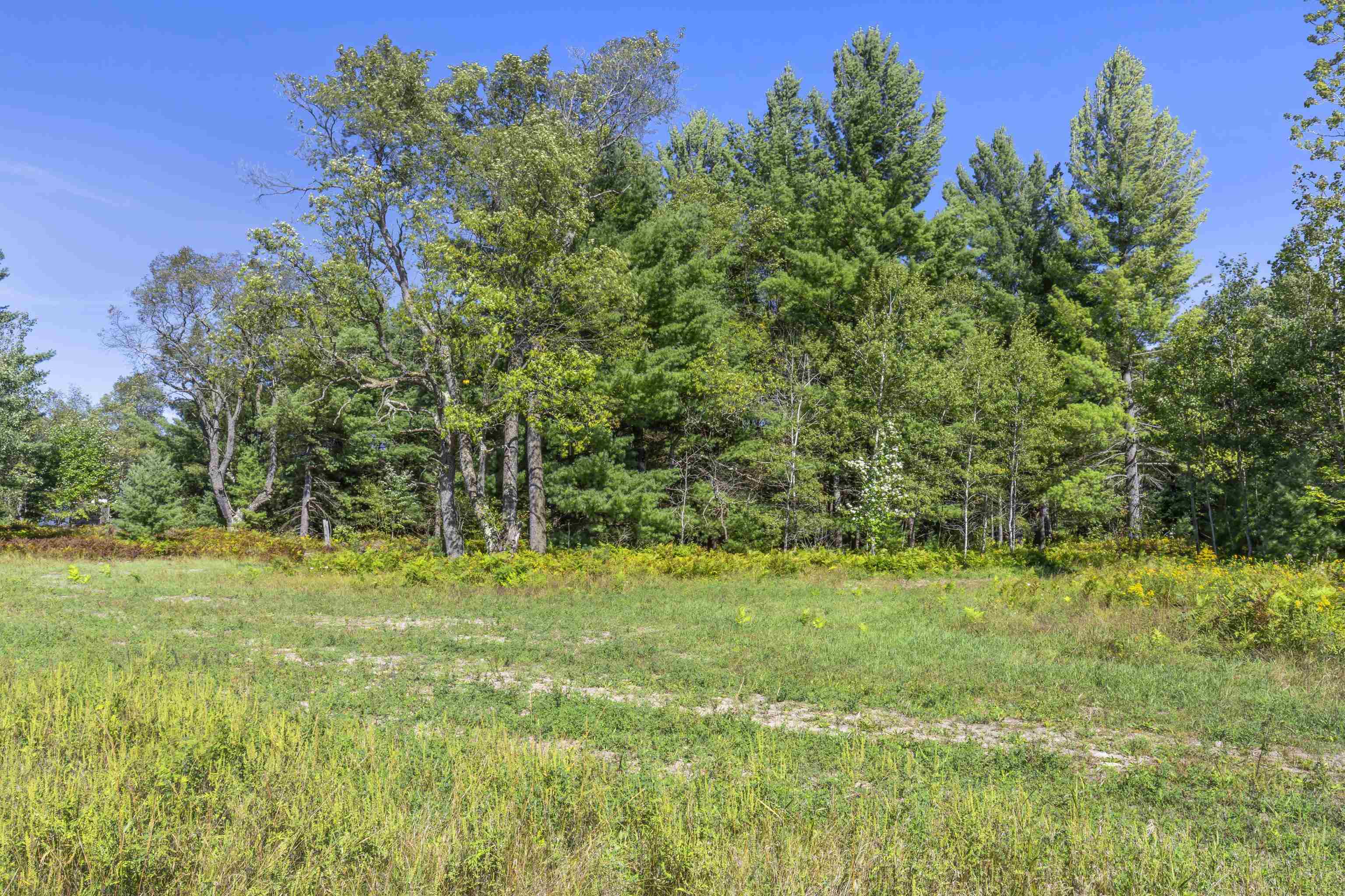 17461 Springdale Road Thompsonville, MI 49683 - Photo 8 of 12 1950397-45bfa0b4-6094-48c9-a134-ede4aade643e.JPG