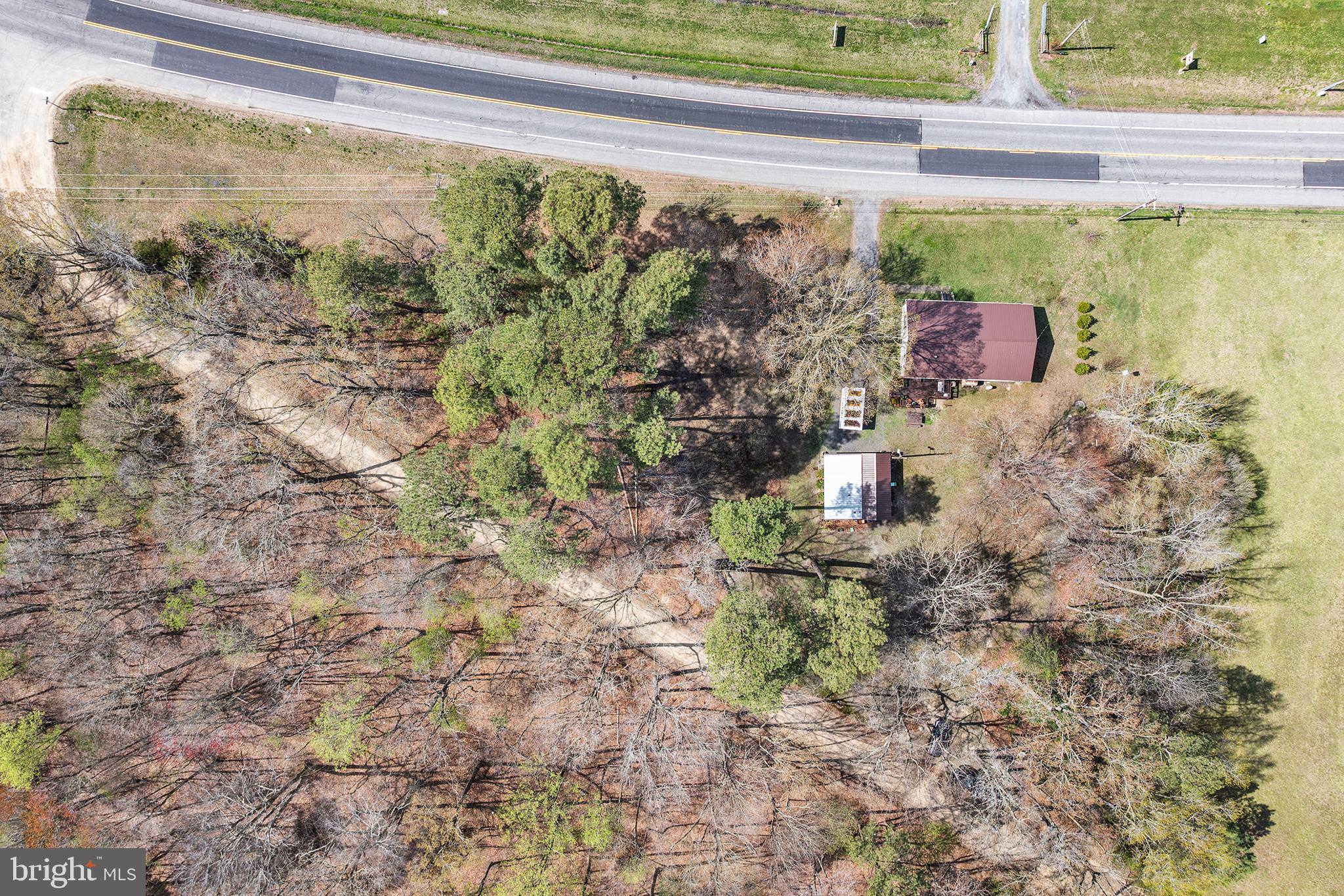 8409 Harmony Road Denton, MD 21629 - Photo 32 of 34 Wooded backdrop