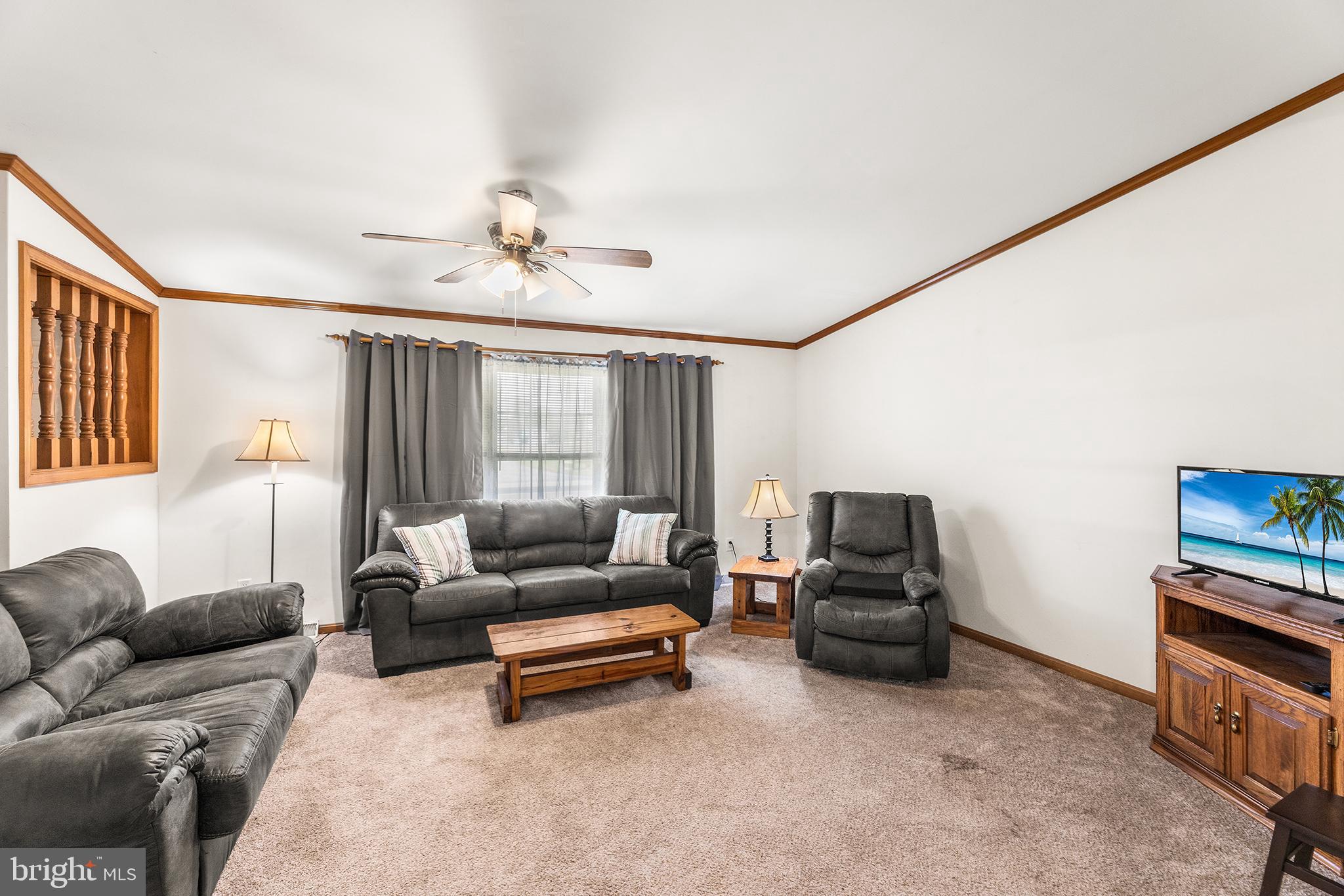 8409 Harmony Road Denton, MD 21629 - Photo 6 of 34 abundant natural lighting