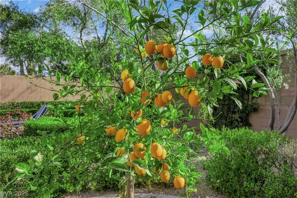 $1,400,000 | 2407 Antrim Irish Drive, Henderson, NV 89044