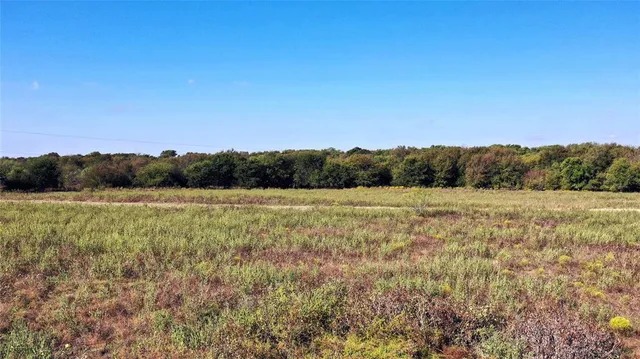 a view of a field with an ocean