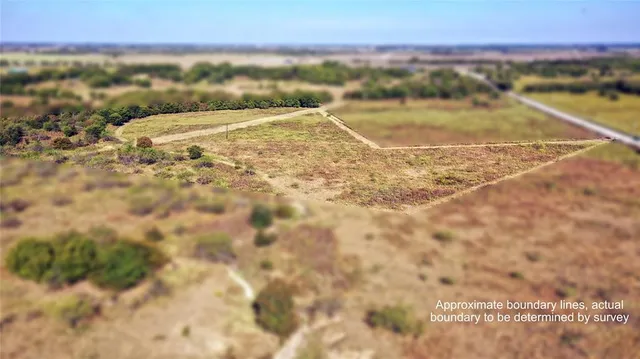 a view of a dry yard with green space