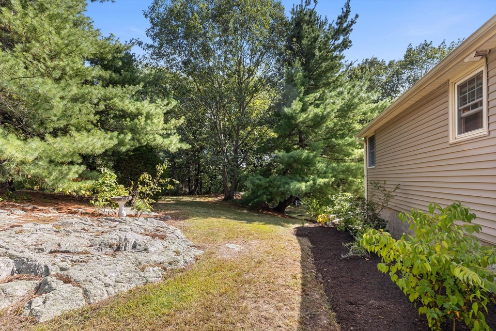 30 Granite Street Dedham, MA 02026 - Photo 30 of 36 a view of a backyard with plants and large trees