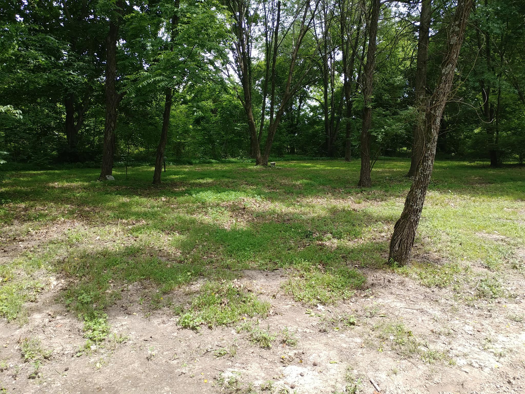 4055 Flewellyn Road Springfield, TN 37172 - Photo 20 of 28 a view of a yard with a tree