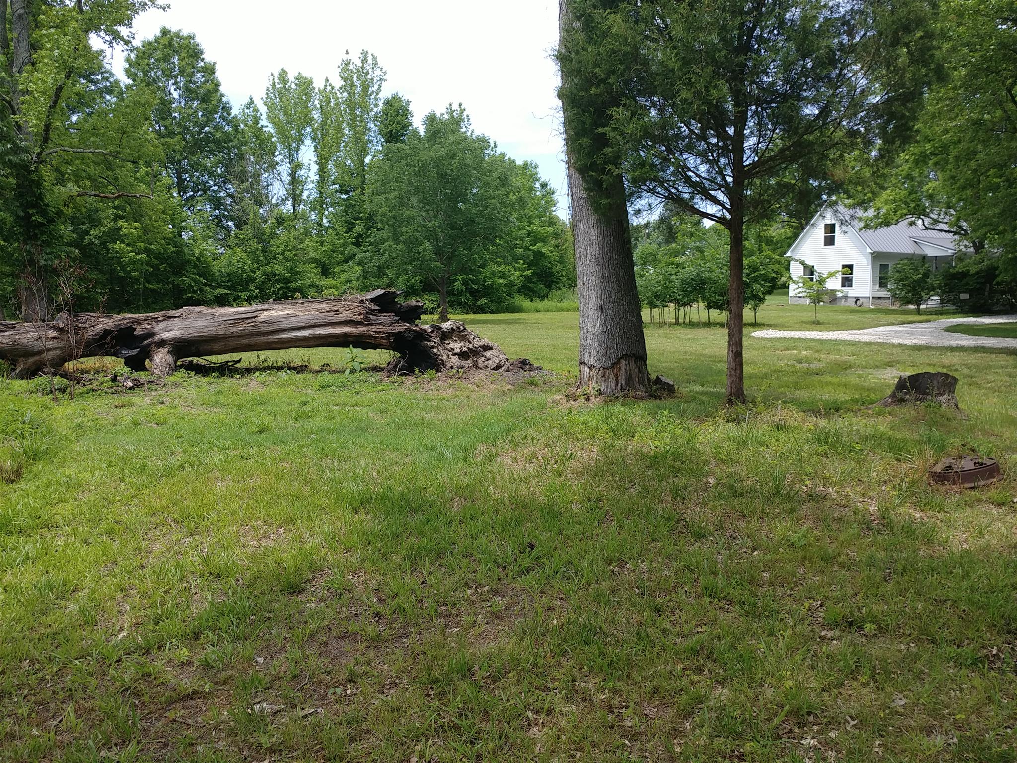 4055 Flewellyn Road Springfield, TN 37172 - Photo 23 of 28 a backyard of a house with lots of green space